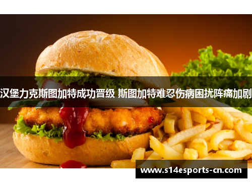 汉堡力克斯图加特成功晋级 斯图加特难忍伤病困扰阵痛加剧