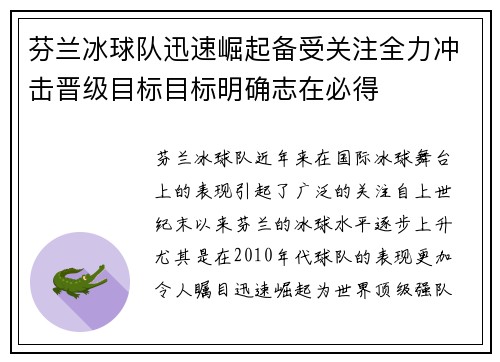 芬兰冰球队迅速崛起备受关注全力冲击晋级目标目标明确志在必得
