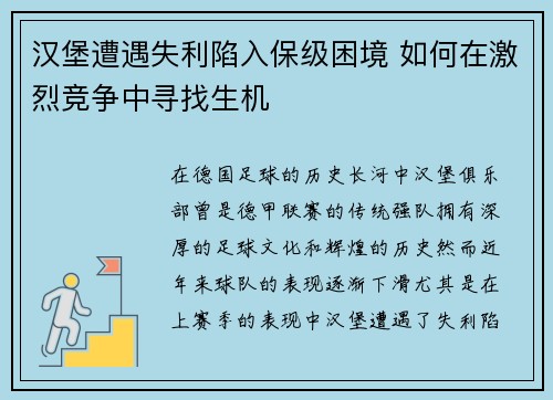 汉堡遭遇失利陷入保级困境 如何在激烈竞争中寻找生机