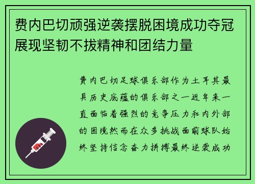 费内巴切顽强逆袭摆脱困境成功夺冠展现坚韧不拔精神和团结力量