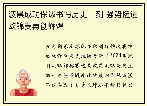 波黑成功保级书写历史一刻 强势挺进欧锦赛再创辉煌