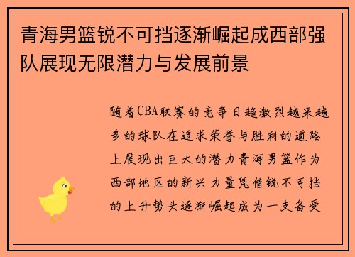 青海男篮锐不可挡逐渐崛起成西部强队展现无限潜力与发展前景