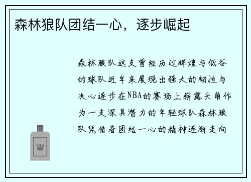 森林狼队团结一心,逐步崛起